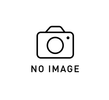 Dr. Balaraju Gaddameedi